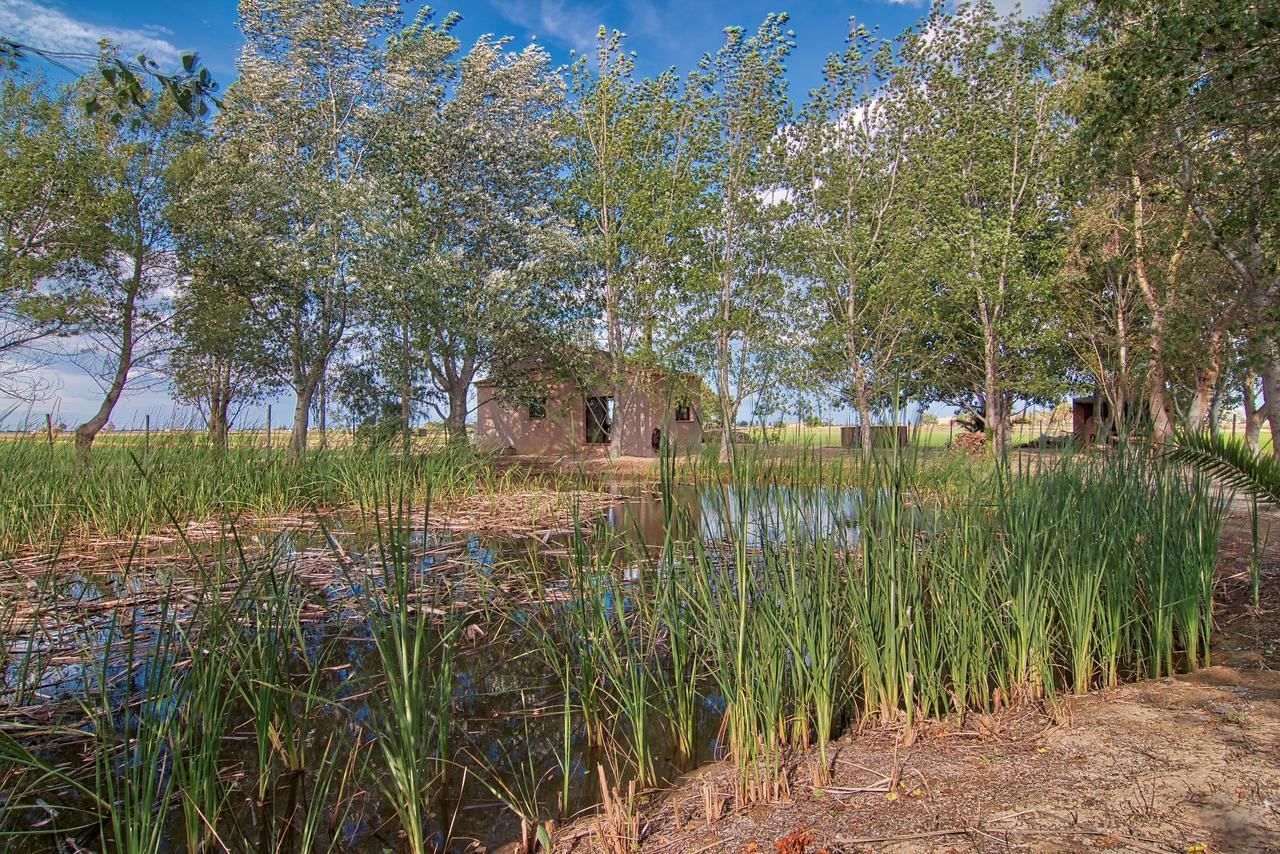 La Illeta Villa Deltebre Exteriör bild